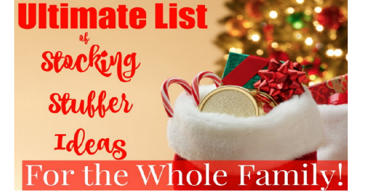 The 2019 Ultimate Stocking Stuffer List for the Whole Family!