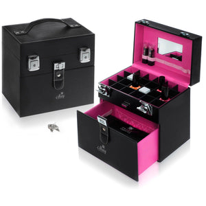 SHANY Color Matters - Nail Accessories Organizer and Makeup Train Case - PURPLE - ITEM# SH-CC0024-PARENT - With the help of our social media fans, we have created the SHANY Color Matters makeup cases. These cases can effectively store your nail polishes, nail tools, lipsticks, loose eye shadow, and many other individu